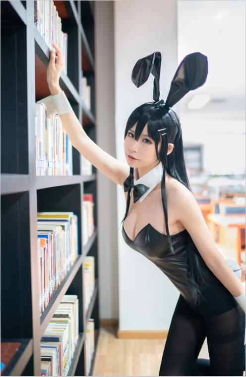 NO.21 爱老师_PhD-兔女郎学姐 [8P-102MB]