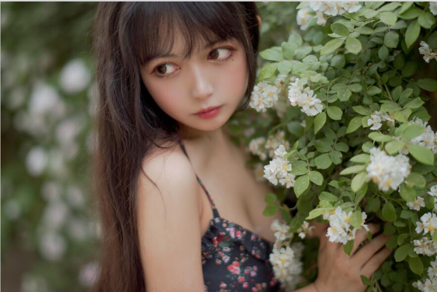 黑猫猫OvO – NO.029 蔷薇1 22P