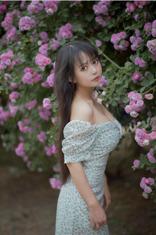 黑猫猫OvO – NO.030 蔷薇2 27p