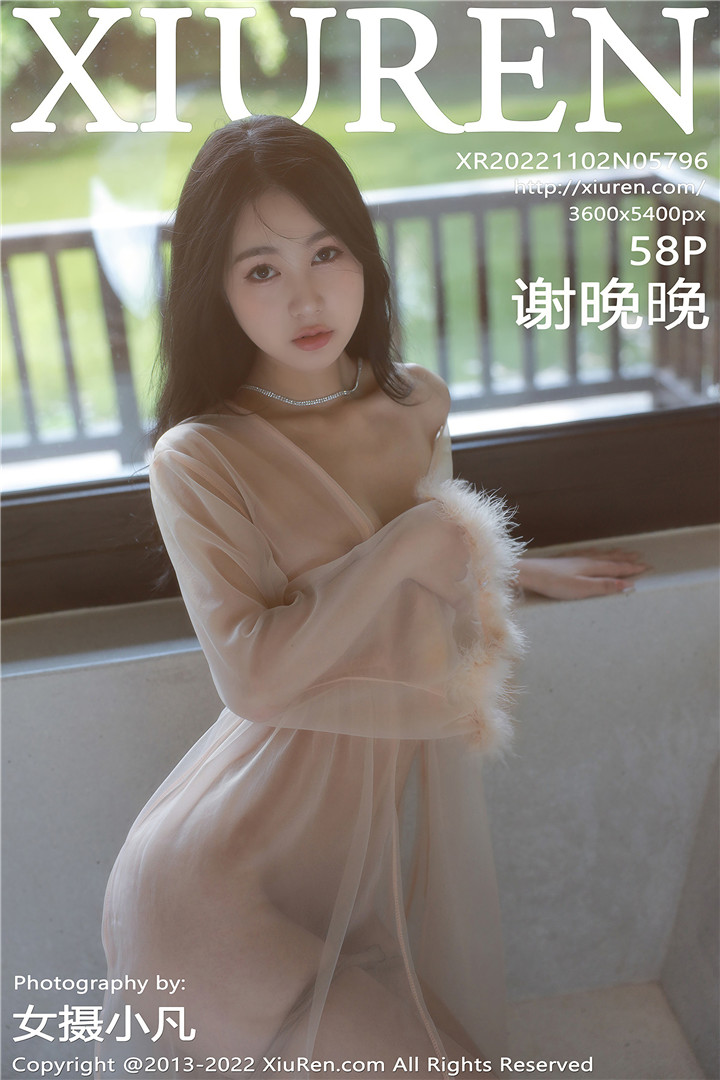 [XiuRen秀人网] 2022.11.02 No.5796 谢晚晚 性感浅色薄纱轻透情趣服饰[58+1P]